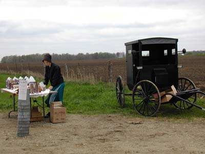 amish.jpg